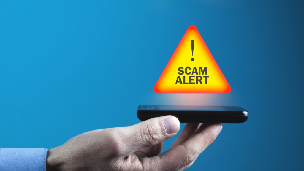 Scam Busters: The Art of Protecting Your Finances Online